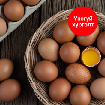 20ширхэг өндөг thumbnail
