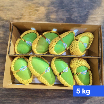 Green Mango 5 kg (6–8 piece) thumbnail