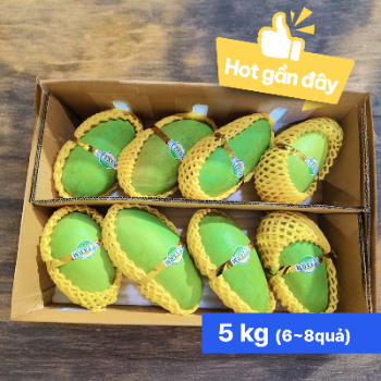 Xoài xanh 5KG (6~8quả) thumbnail