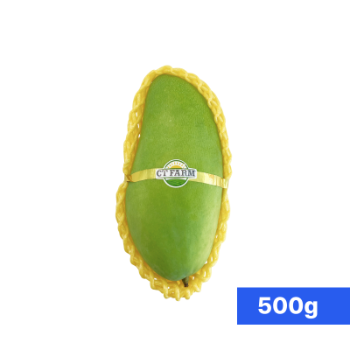 Mangga Muda (500~700g) thumbnail