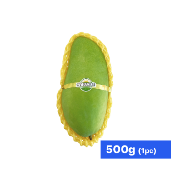 Green Mango 500g~700g (1pc) thumbnail