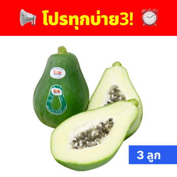 มะละกอดิบลูกเล็ก 3 ลูก thumbnail