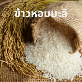 អង្ករផ្កាម្លិះ 500 ក្រាម thumbnail